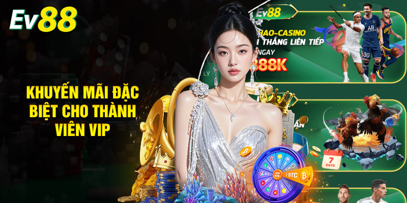 Khuyến mãi đặc biệt cho thành viên VIP